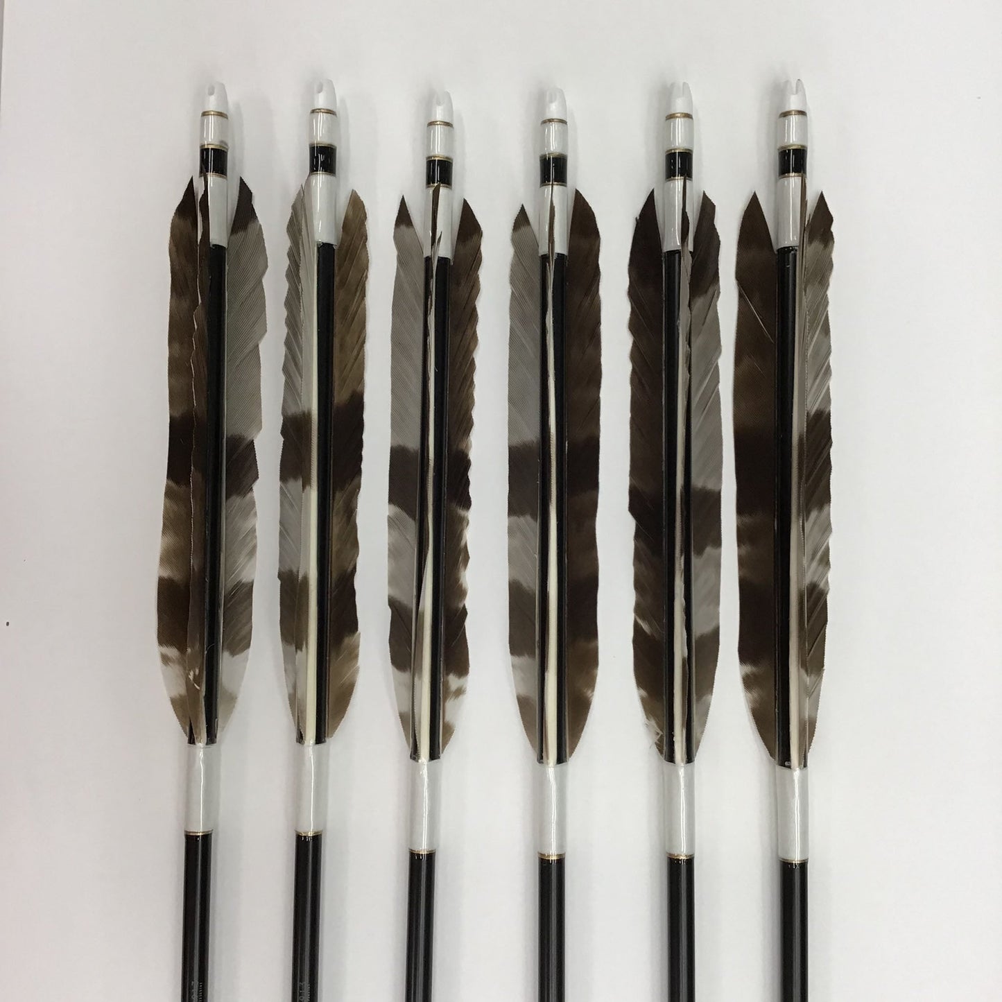 アルミ矢 ハチクマ鷲尾羽 1913