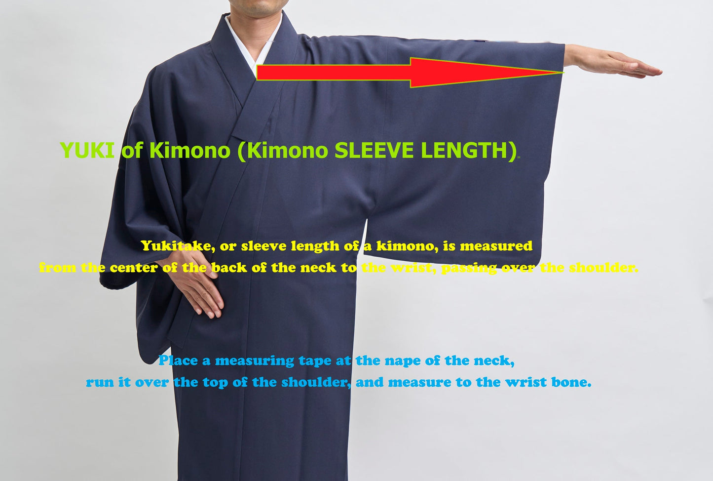 着物 襦袢 セット