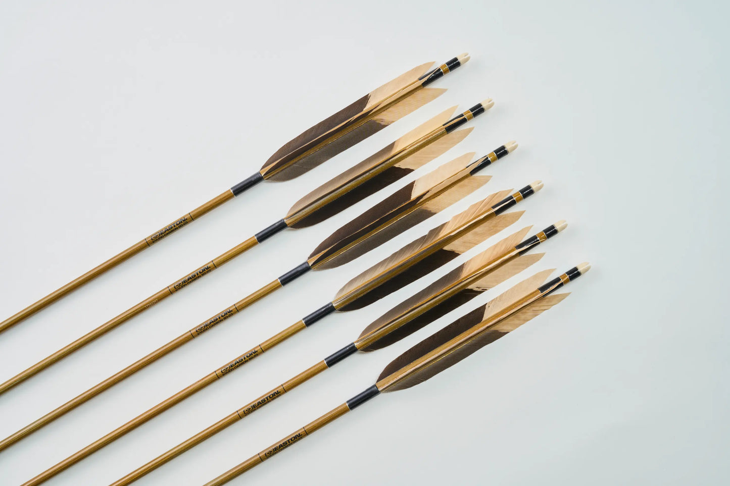 カーボン矢 黒鷲手羽染め抜き