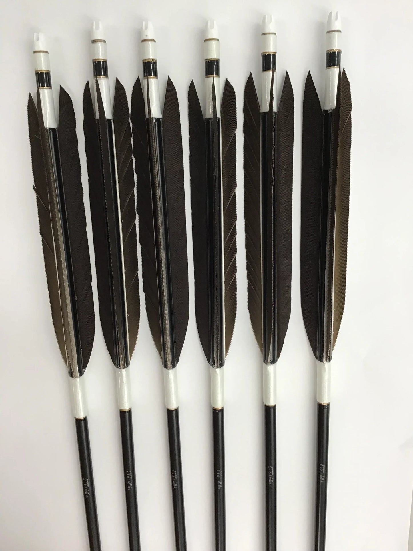 アルミ矢 黒鷲尾羽 2014/2015